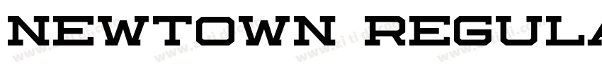 Newtown Regular字体转换